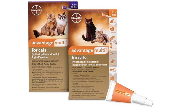 advantage-mulit-for-cats