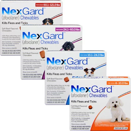 Nexgard chewables shop