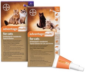 Heartworm medication hot sale for cats