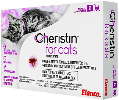 Cheristin for Cats